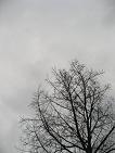 e0022298_031077.jpg