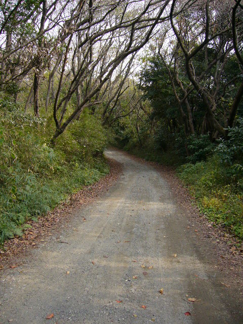 d0070702_21555414.jpg