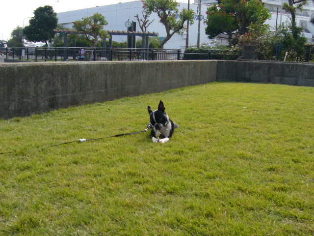 d0070702_2241127.jpg