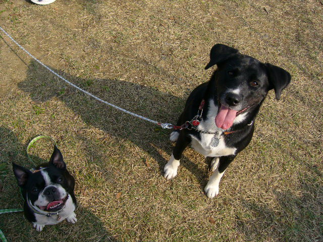 d0070702_22495684.jpg