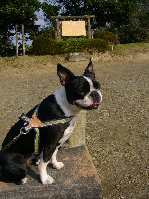 d0070702_2251361.jpg