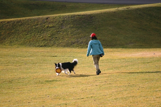 f0034602_17224998.jpg
