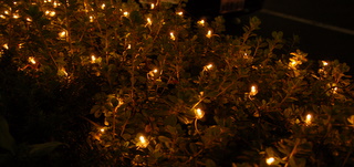 b0025604_0441174.jpg