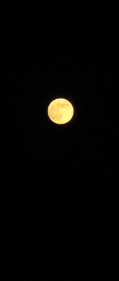 e0014905_21415376.jpg