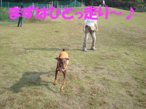 e0100007_21303580.jpg