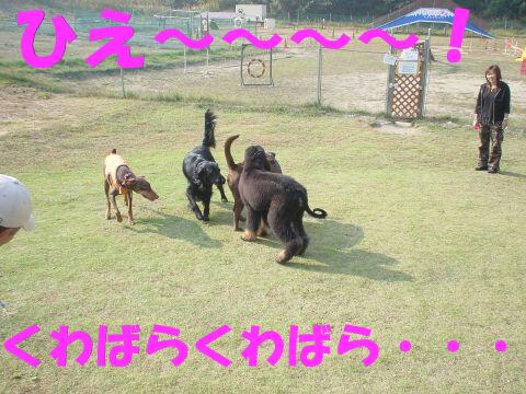 e0100007_21361718.jpg