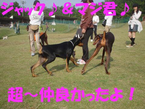 e0100007_21463841.jpg