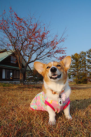 c0088708_18144168.jpg