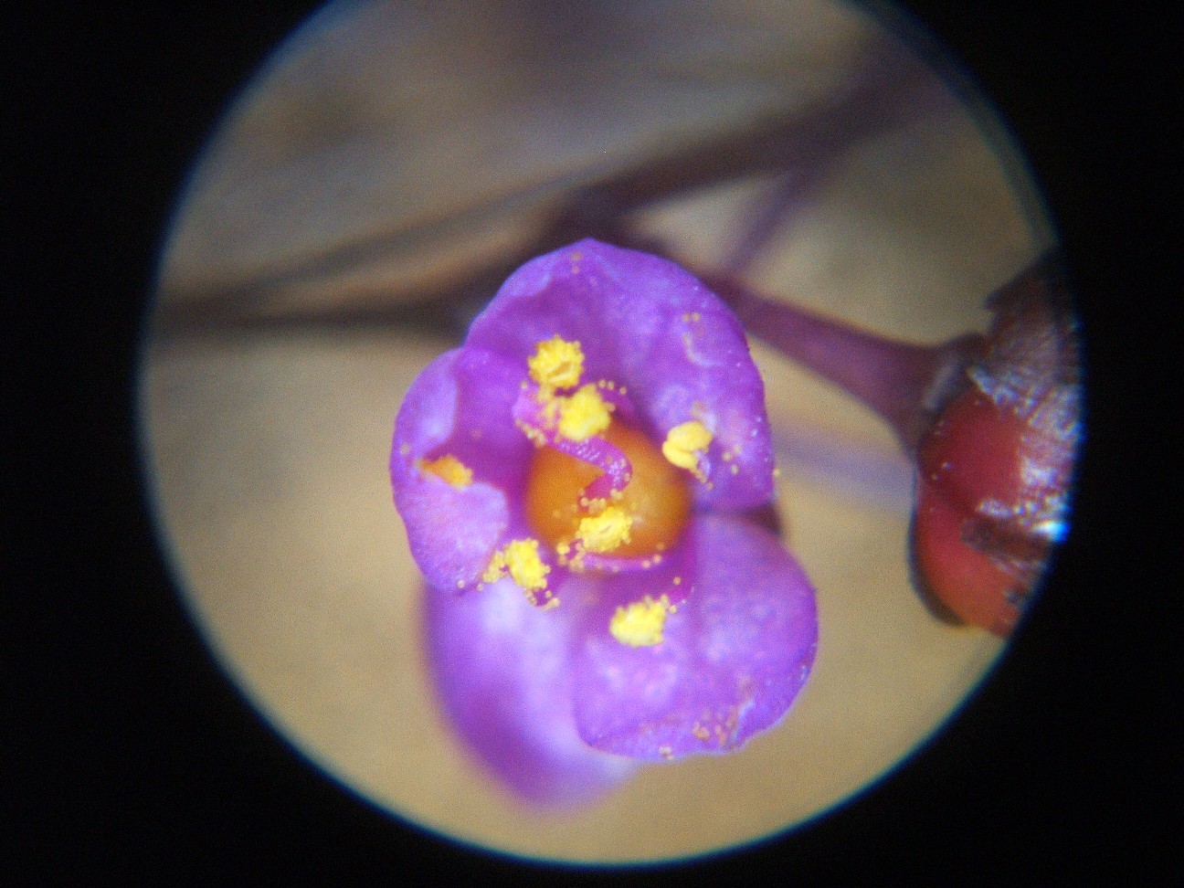 b0061010_20143065.jpg