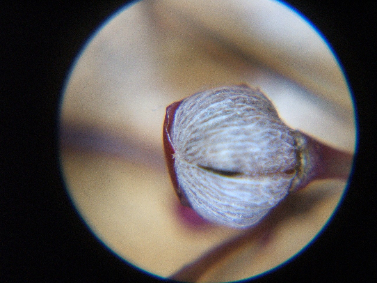 b0061010_20153895.jpg