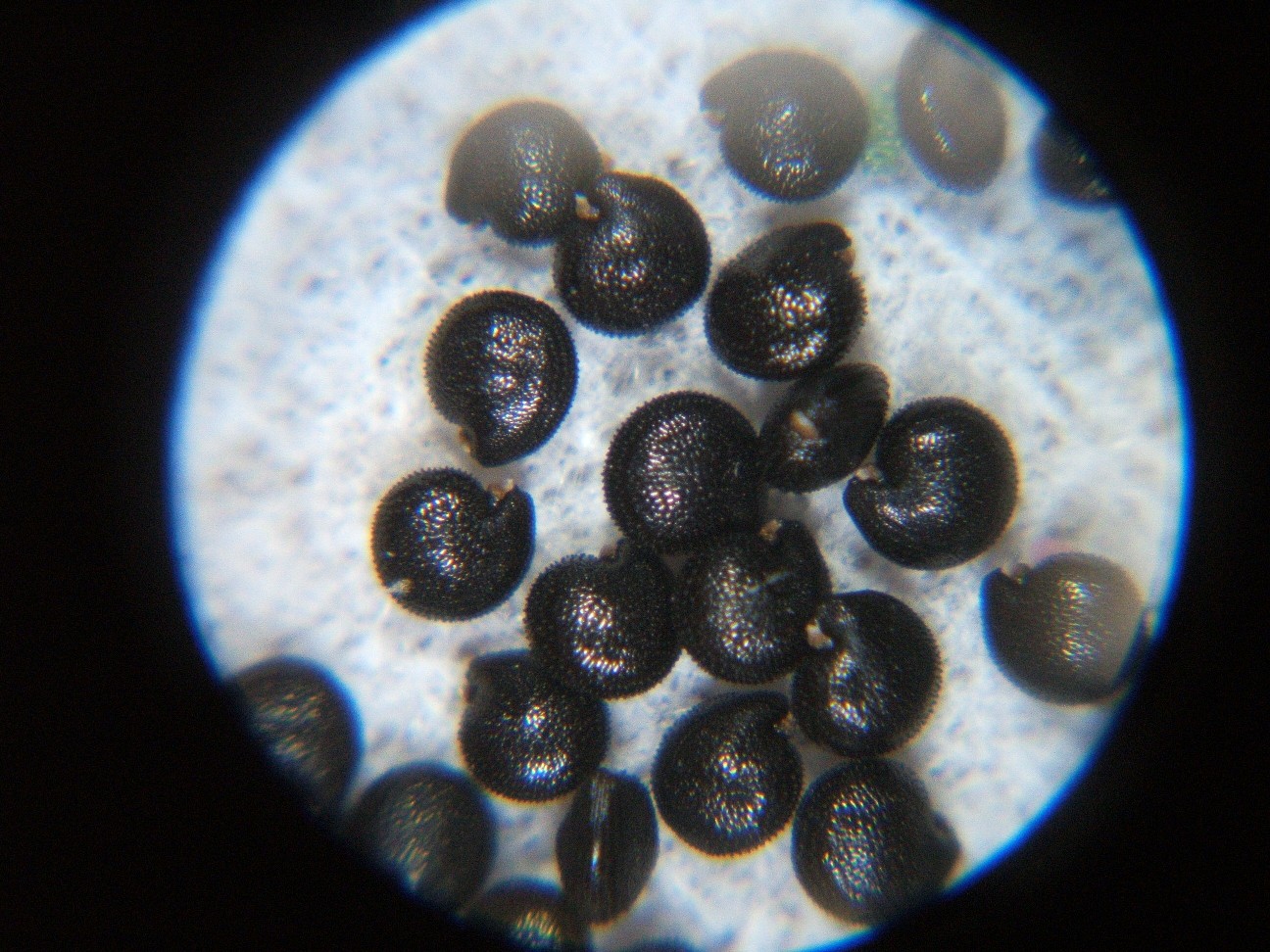 b0061010_201711100.jpg