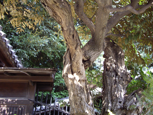 a0091314_1982070.jpg