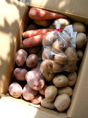 f0036716_1732820.jpg