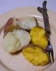 f0036716_1735745.jpg