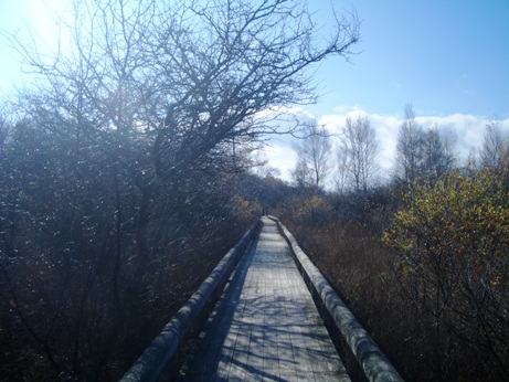 c0019617_2435494.jpg