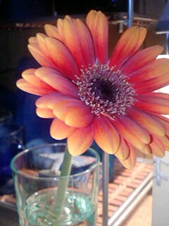 a0058433_0221792.jpg