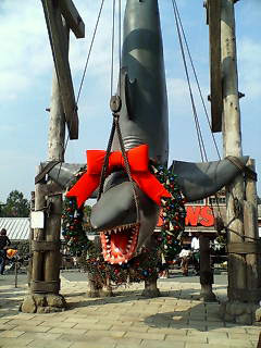 a0062133_23205175.jpg