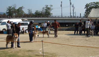 f0008935_1401327.jpg