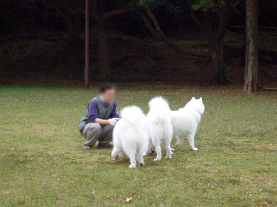 c0035838_957736.jpg