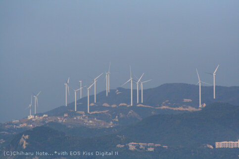 c0046340_1748599.jpg