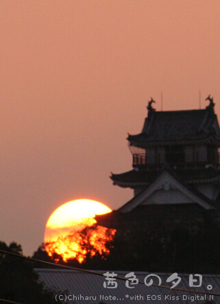 c0046340_23384784.jpg