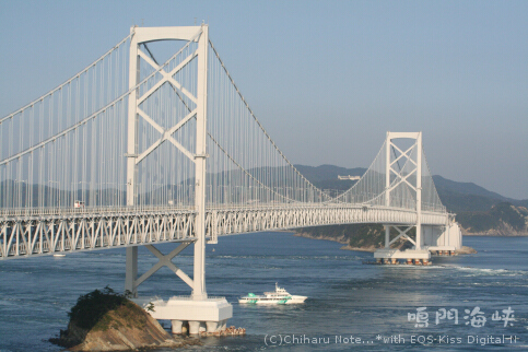 c0046340_647655.jpg