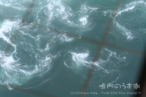 c0046340_6563335.jpg