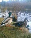 c0042941_1030207.jpg
