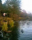 c0042941_1030331.jpg