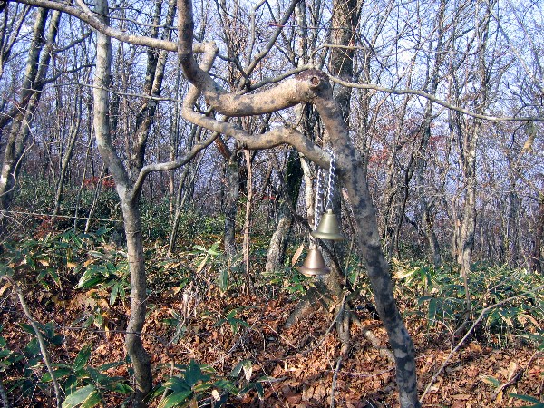 f0042441_21192828.jpg