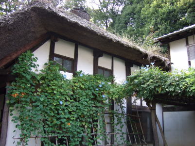 c0023545_21431162.jpg
