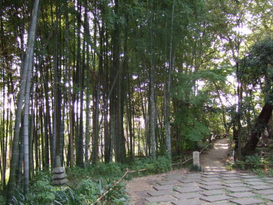 c0023545_2144572.jpg