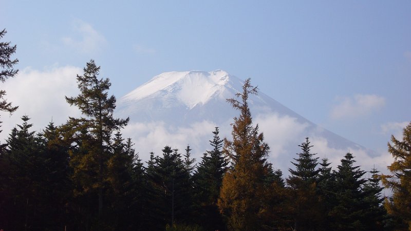 c0057946_1735383.jpg