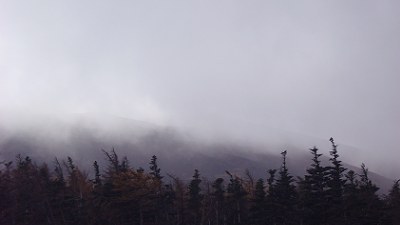 c0057946_1741816.jpg