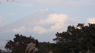 c0057946_1745830.jpg