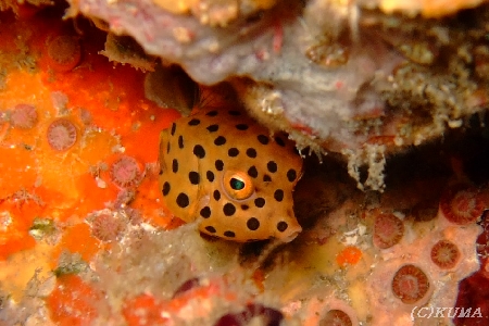 e0027447_12284366.jpg