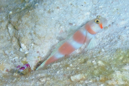 e0027447_12324761.jpg