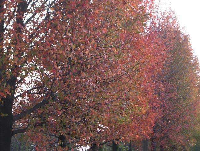 e0002850_0151511.jpg