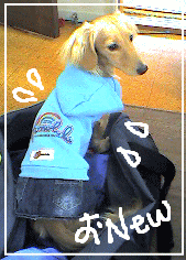 c0025852_1221781.gif