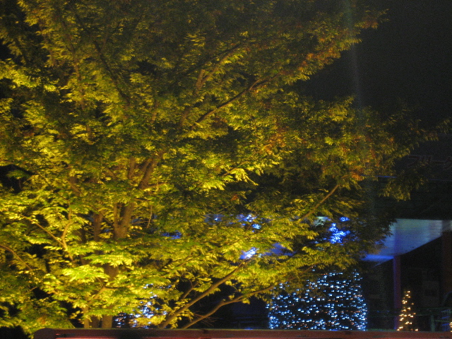 e0074253_20544475.jpg