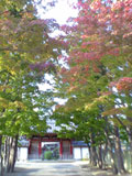 a0013855_0362168.jpg