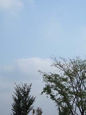 c0097558_2223611.jpg