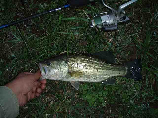 f0073059_1813747.jpg