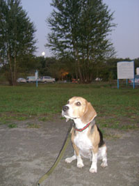 e0007060_2332068.jpg