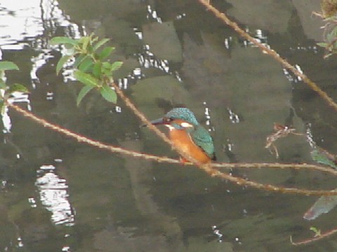 b0061261_21385562.jpg