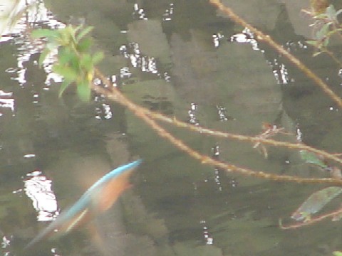 b0061261_2139446.jpg