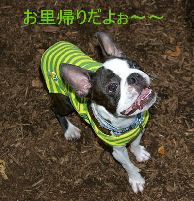 c0032567_03356.jpg