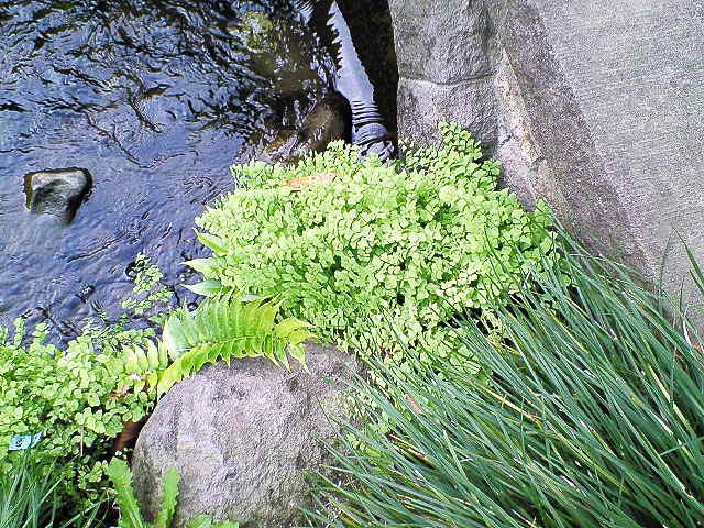 e0019967_11384666.jpg