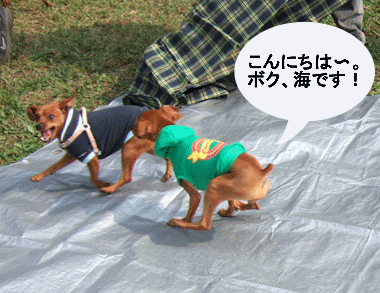 c0012571_1948351.gif