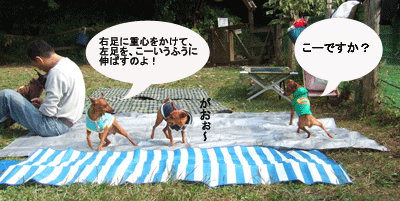 c0012571_19495015.gif